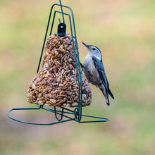 Mr. Bird Bugs, Nuts & Fruit – Bell - Howell's Mercantile